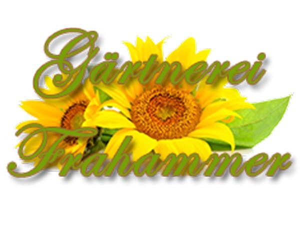 Bild 1 von Gärtnerei Frahammer e.U.