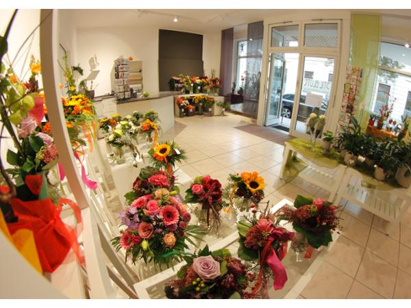 Bild 18 von Stil-Blüte, florale Manufaktur