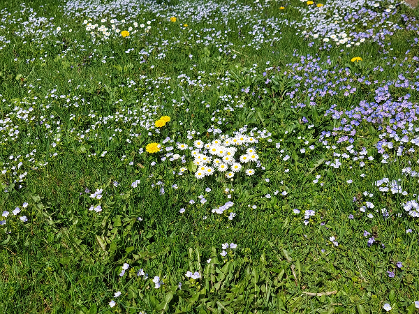 Bild 66 von Haus Christoph