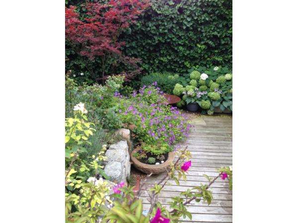 Bild 5 von Gartengestaltung Ing. Sattler
