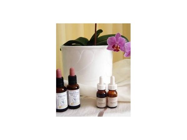 Bild 5 von Chinesische Therapien Mag Edith Weickinger