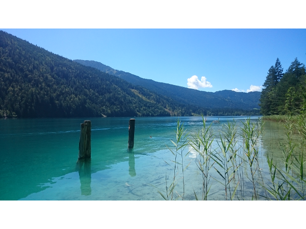 Bild 11 von Blumenhof Elfi , Urlaub am Bauernhof Fam. Mazzarella-Kerschbaumer