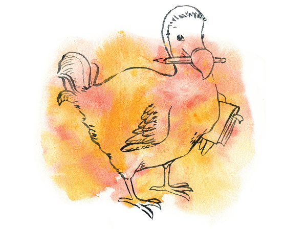 Bild 1 von Dodos Denkwerkstatt , Theodora Werner