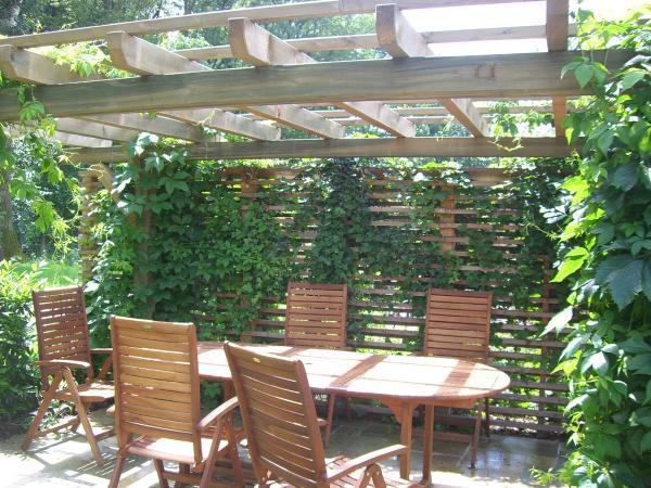 Bild 5 von Blütezeit Garten- u Außengestaltung