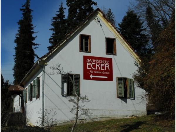 Bild 10 von Ecker - Eckhofen Gartengestaltung KG