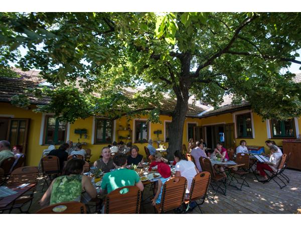 Bild 6 von Oberlaaer Dorfwirt Gastronomie Betriebsgmgh & Co KG