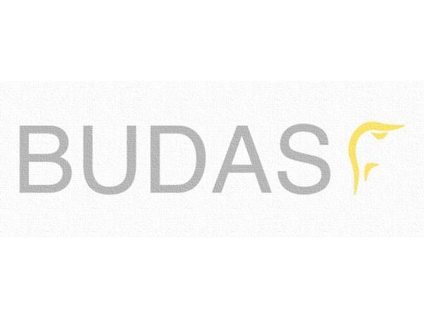 Bild 1 von Dr. Budas Nikolaus