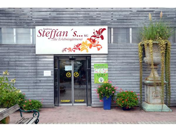 Bild 1 von Erlebnisgärtnerei Steffan
