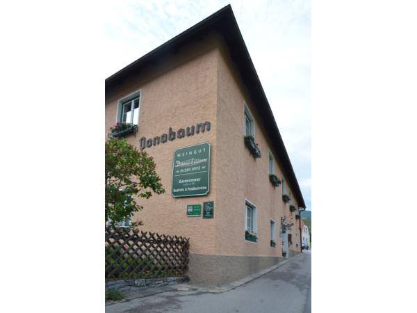 Bild 1 von Weingut Donabaum in der Spitz - Martin & Alexandra Donabaum