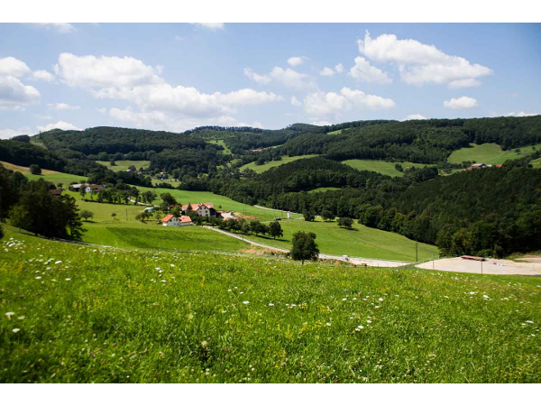 Bild 5 von Waldhof Grasel