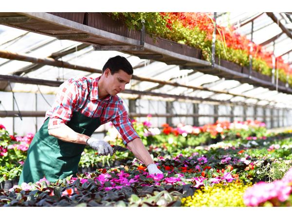 Bild 3 von Blumen Steurer | Ihr Landflorist am URTELHof