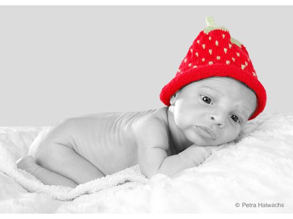 Bild 27 von Fotostudio Petra Halwachs