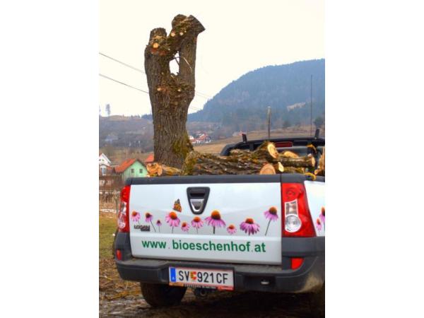 Bild 2 von Biobaumschule ESCHENHOF Dipl. Ing. Klaus Schulze Zumloh