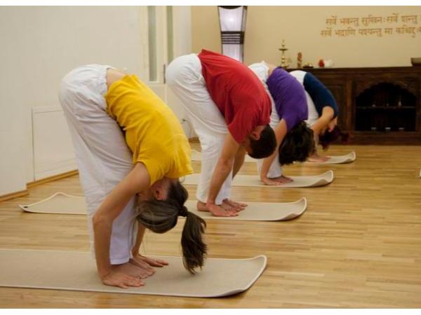 Bild 7 von YOGAPRAXIS - Medizin, Osteopathie, Therapie - Dr Goldammer