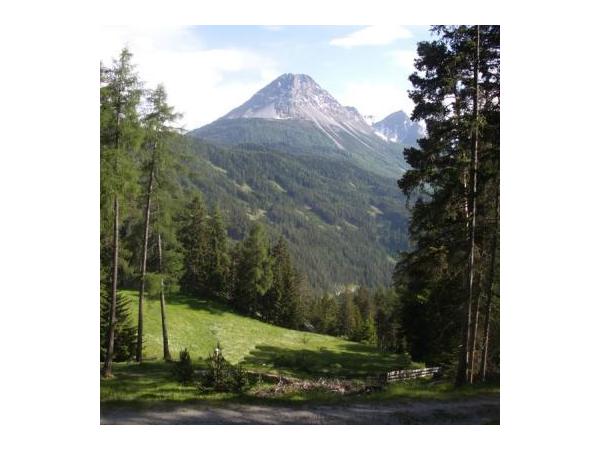 Bild 1 von Appartement Landhaus Reihan