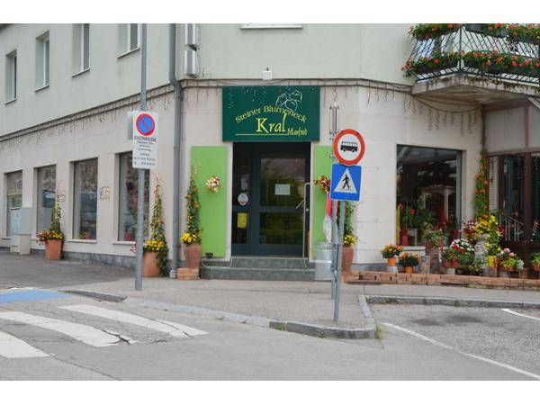 Bild 1 von Kral Manfred - Steiner Blumeneck