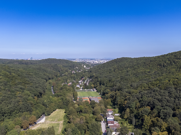 Bild 2 von RG3 Immobilientreuhand GmbH