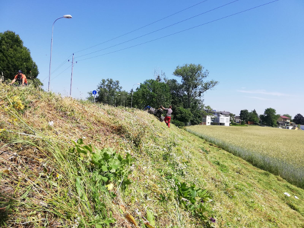 Bild 31 von Hörtenhuemer GmbH