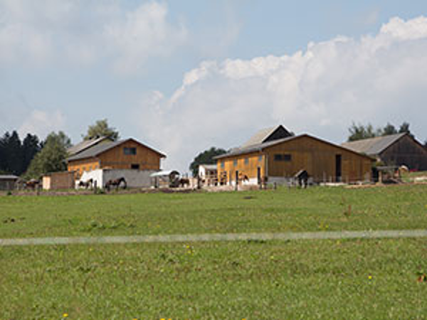 Bild 5 von Reiterhof Trinko
