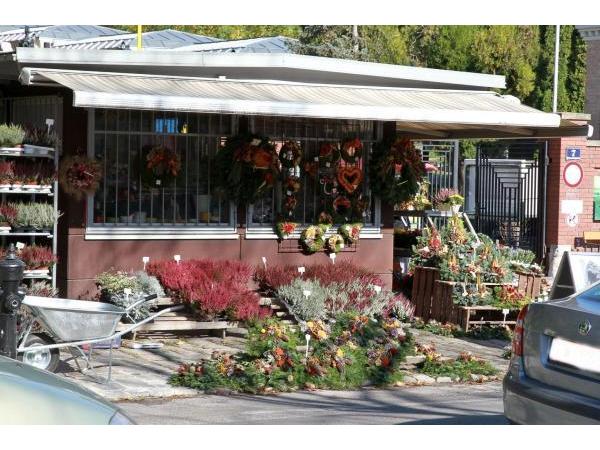 Bild 1 von Blumen Nindl