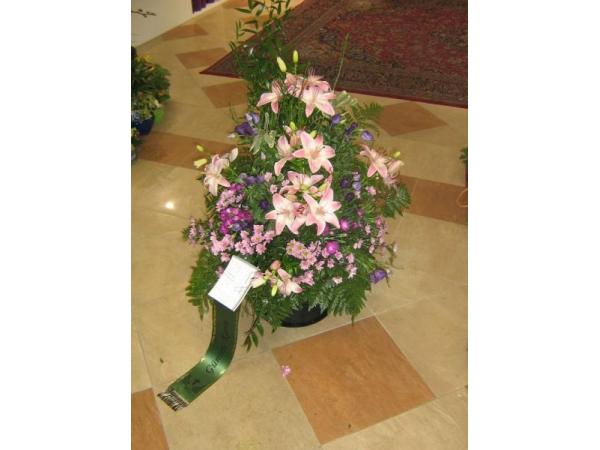 Bild 20 von Blumen Renate Petrides