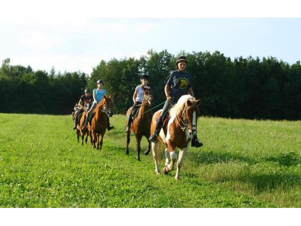 Bild 1 von Tourismusverband Entdeckerviertel Informationsbüro Holzöster