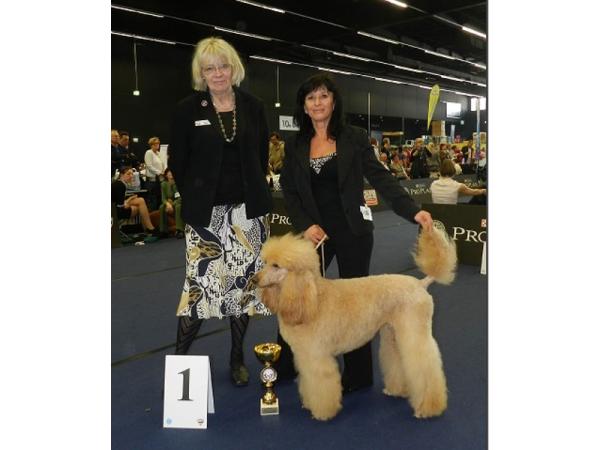 Bild 3 von Hundestudio Struppelpeter - Sabina Genewein