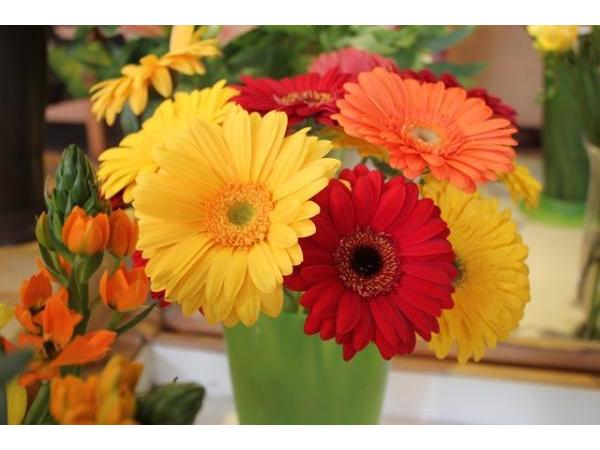 Bild 9 von Blumen Schuster in Meidling - Christine Schuster