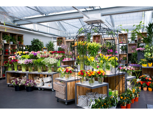 Bild 6 von PENZO Flora Flötzersteig GmbH