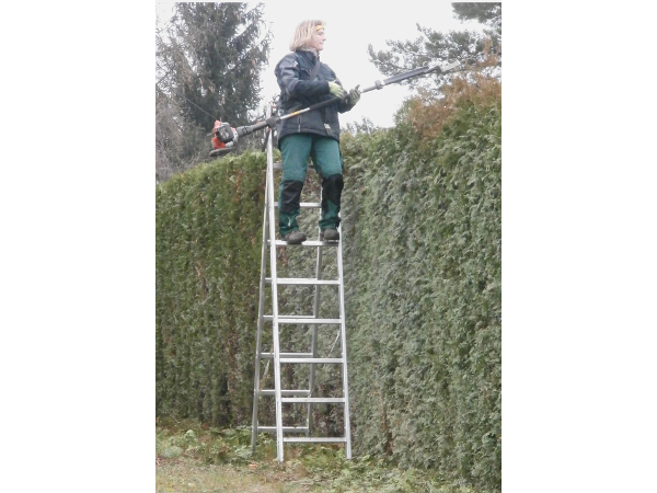 Bild 3 von Forst- und Gartenarbeiten Glück