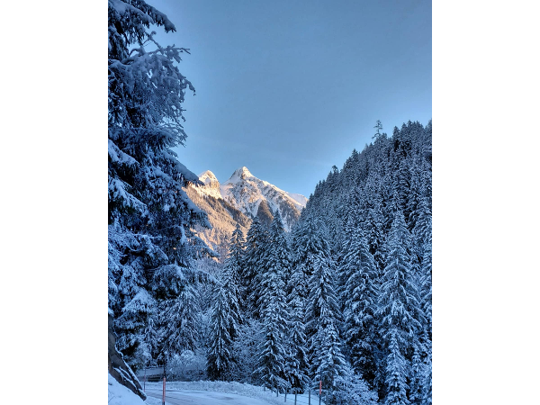 Bild 15 von Gasthaus Häusling Alm