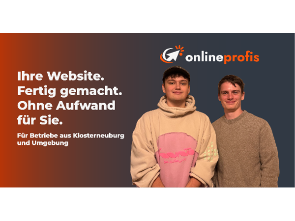 Bild 4 von onlineprofis