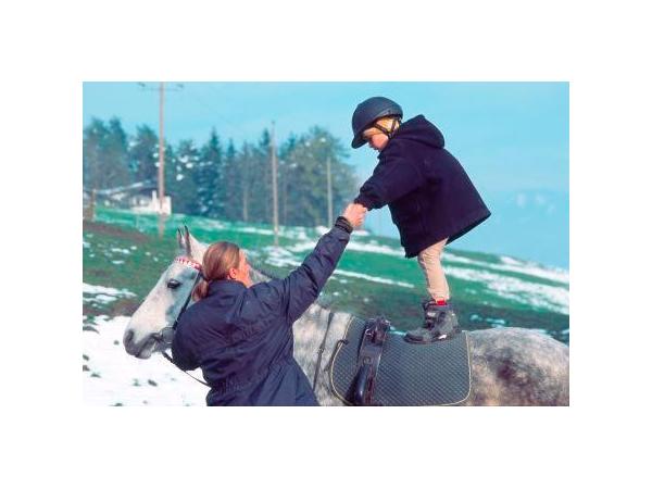 Bild 9 von Reitstall Gnadenwald - Fam Rantner