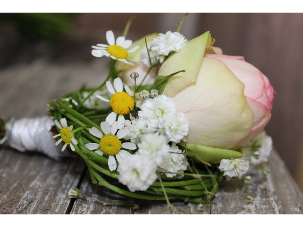 Bild 33 von Blumen Resinger