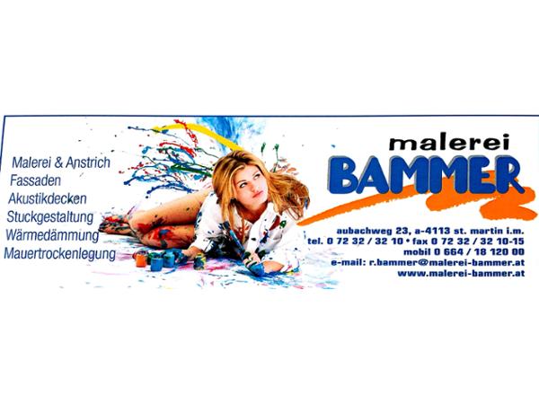Bild 1 von Bammer Reinhold