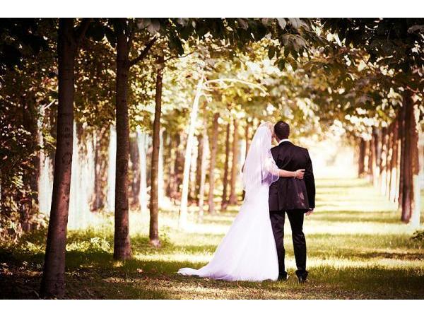 Bild 8 von Billaudet Photography