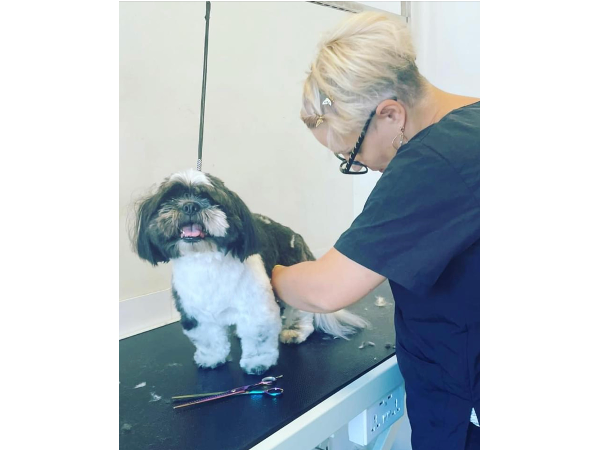 Bild 1 von MamaWau Hundefriseur-Hundesalon-Erinnerungsschmuck