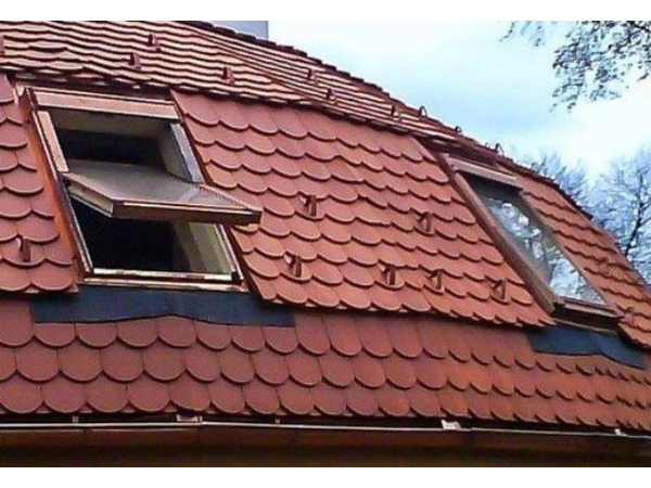 Bild 16 von Walter Bendl