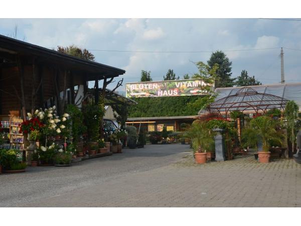 Bild 1 von Posch Johann