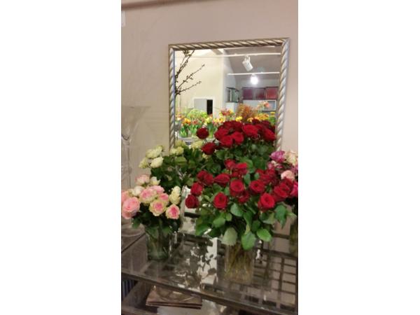 Bild 12 von Blumen Schonsky