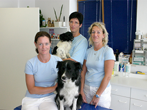Bild 8 von Dipl-TA Veronika Brugger