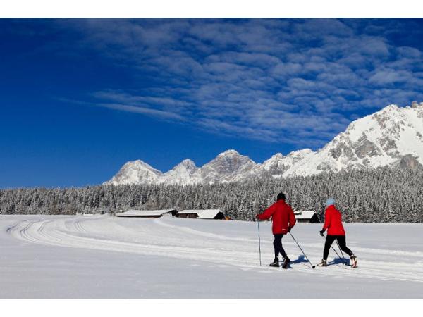Bild 3 von Aktivhotel "Zum Jungen Römer"