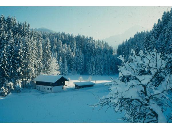 Bild 4 von Gasthaus Moorsee