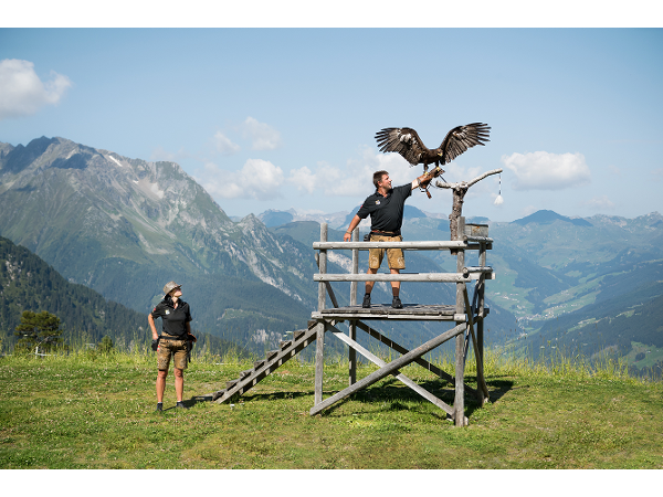 Bild 2 von Mayrhofner Bergbahnen Aktiengesellschaft - Ahornbahn, Penkenbahn, Horbergbahn, Möslbahn
