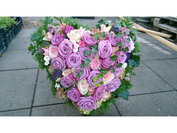 Bild 9 von Blumen im Bahnhof Veronika Schmeikal