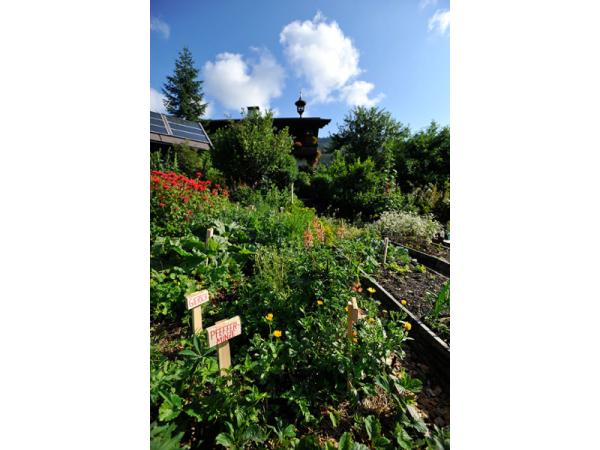 Bild 4 von Biobauernhof - Neudegghof Familie Pfister