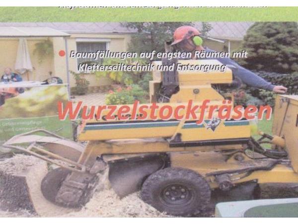 Bild 2 von RENE'S GARTENPFLEGE u. Baumpflege