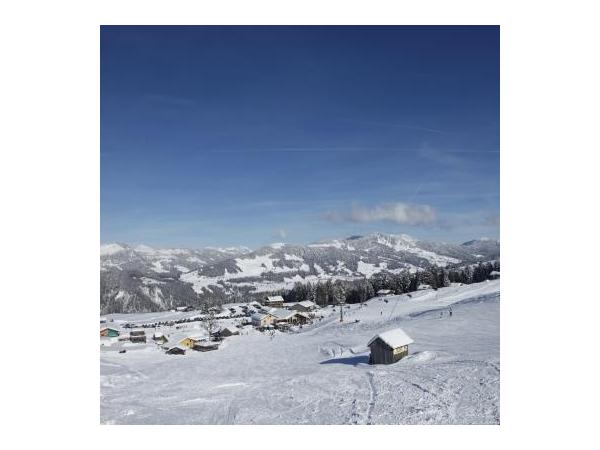 Bild 1 von Ski- und Schneesportschule Egg-Schetteregg