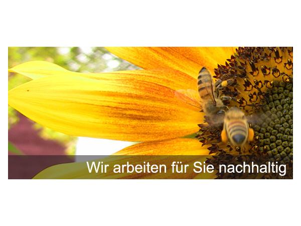 Bild 7 von Personal-Basis Management GmbH