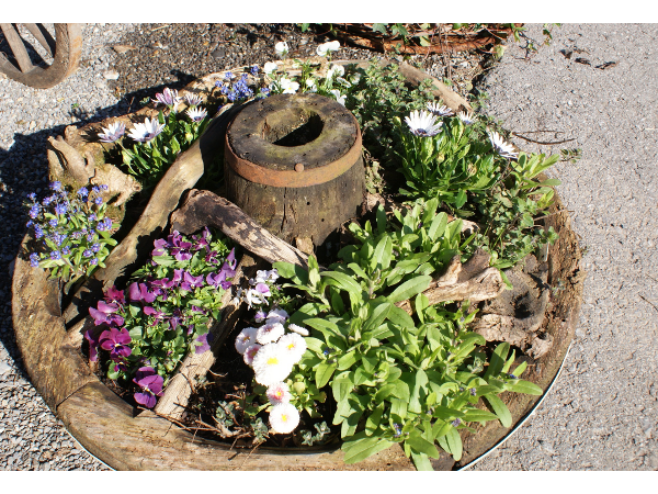 Bild 9 von Blumengeschäft Elfenschuh - Silvia Mennel